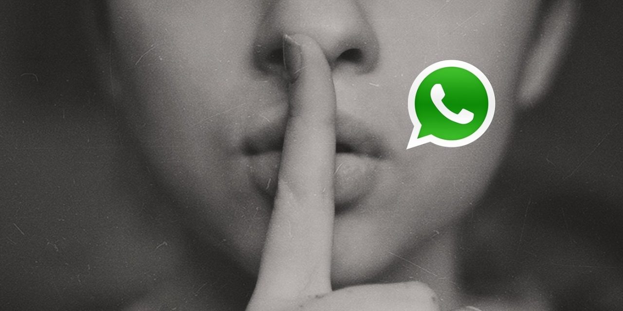 WhatsApp: Cómo silenciar un chat para siempre