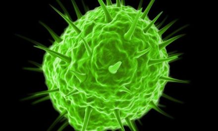 Qué son los misteriosos pandoravirus y por qué algunos científicos dudan de que en realidad sean virus