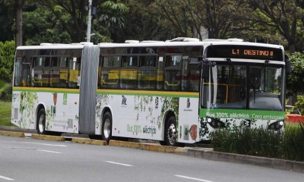 La Alianza Zebra busca incrementar los autobuses eléctricos en América Latina