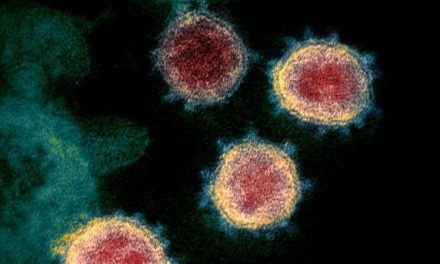 Ahora Sudáfrica investiga una nueva mutación del coronavirus vinculada a su segunda ola de infecciones