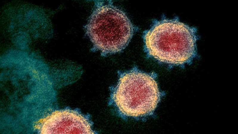 Ahora Sudáfrica investiga una nueva mutación del coronavirus vinculada a su segunda ola de infecciones