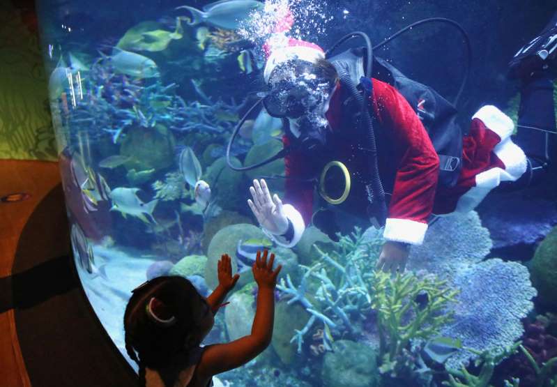 Santa Claus se sumerge con los peces en acuario tailandés