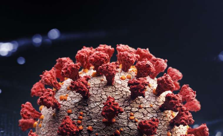 5 respuestas sobre la nueva cepa del coronavirus