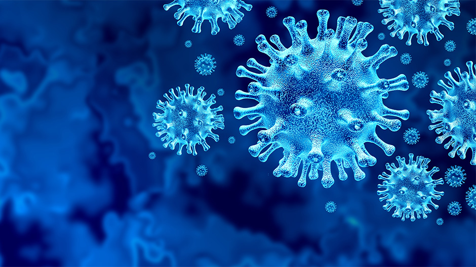 Los casos del coronavirus en todo el mundo superan los 71,2 millones y las muertes alcanzan las 1.609.452