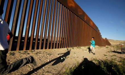Biden ordena a constructores del muro fronterizo de Trump que dejen de trabajar