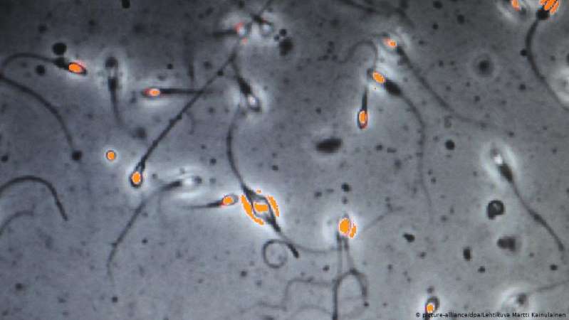 Nuevo estudio sugiere que el COVID-19 podría alterar la calidad del esperma