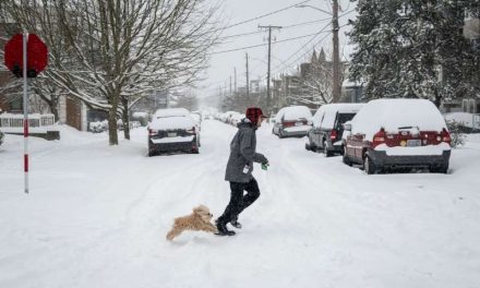 Millones enfrentamos un fin de semana con el clima más extremo del invierno en Estados Unidos