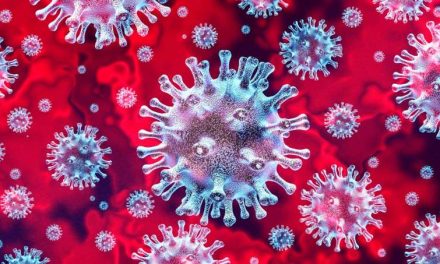 Científicos detectan siete variantes del coronavirus en Estados Unidos