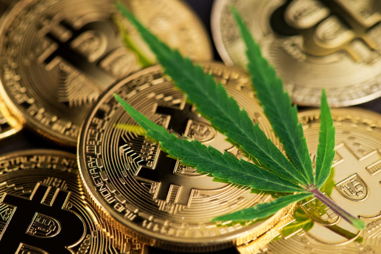 Empresa alemana de cannabis adopta #Bitcoin como cobertura ante la devaluación del euro