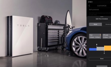 Propietarios de Tesla Powerwall en Texas libran estragos del apagón, pero ven un aumento en el costo energético que llega a $ 900
