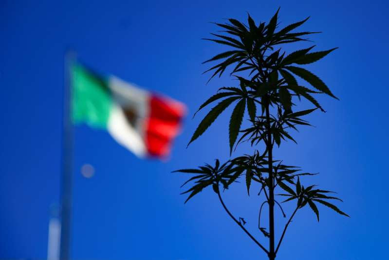 Diputados mexicanos avalan y regresan al Senado ley para consumo de marihuana