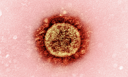 Estudio muestra que la suerte es esencial para el éxito de cualquier variante de coronavirus