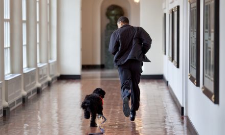 Barack Obama anuncia la muerte del perro Bo