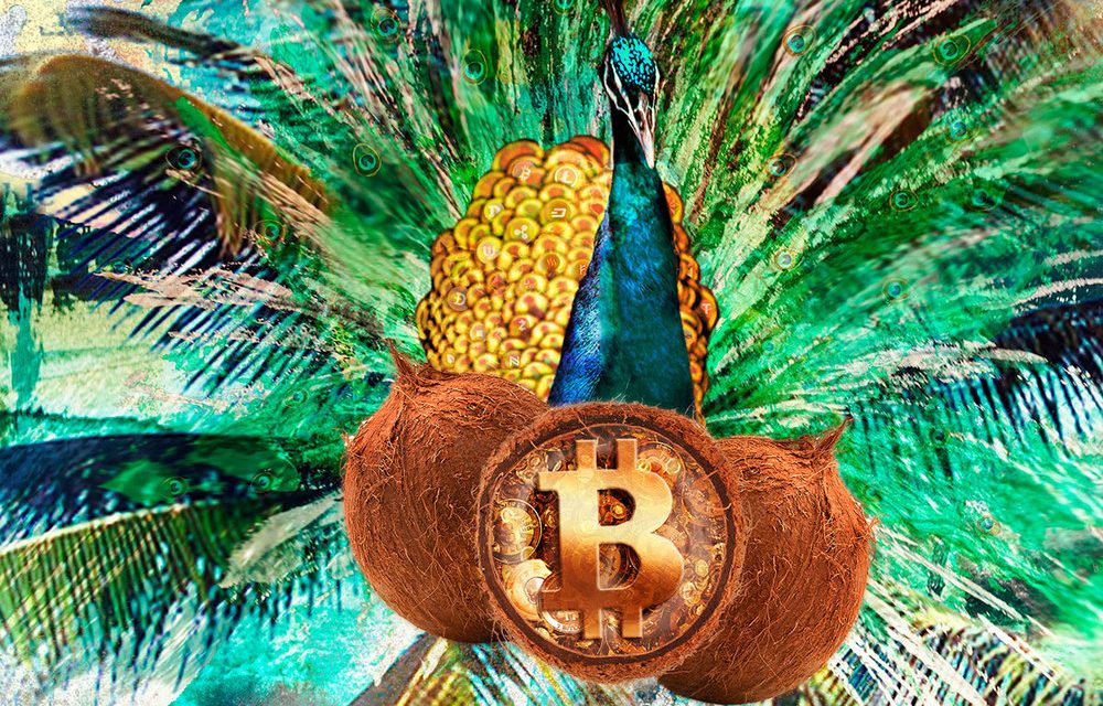 Una isla del Caribe podría ser la primera comunidad de usuarios de #Bitcoin del mundo