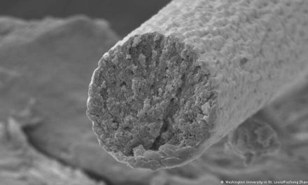 Científicos crean fibras musculares sintéticas para usarlas en textiles
