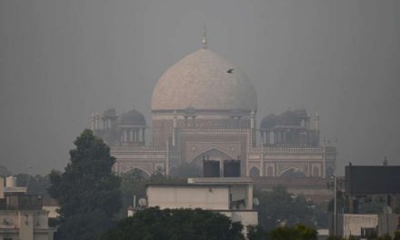 La India decreta confinamiento por una semana en Nueva Delhi debido a la densa capa de bruma que cubre la capital