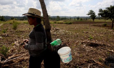 Canadá, Colombia, El Salvador y Perú protegerán los suelos junto con el IICA