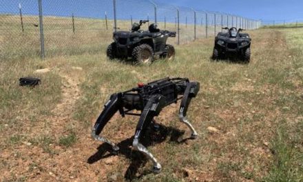Estados Unidos prueba “perros robots” para cuidar la frontera con México