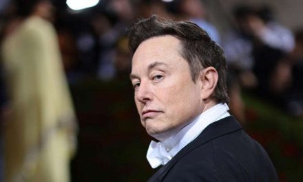 Elon Musk quiere que Twitter deje de ser gratuito para empresas y gobiernos