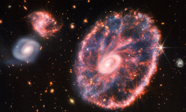 Telescopio James Webb revela nuevos detalles sobre la Galaxia Cartwheel, sus estrellas y sus agujeros negros