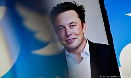 Que Elon Musk despediría a tres cuartos de los empleados de Twitter