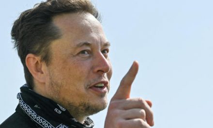 Elon Musk se lanza contra Anthony Fauci y pide que lo enjuicien
