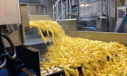 Colombia pierde litigio ante la OMC por aranceles a papas fritas congeladas de la Unión Europea