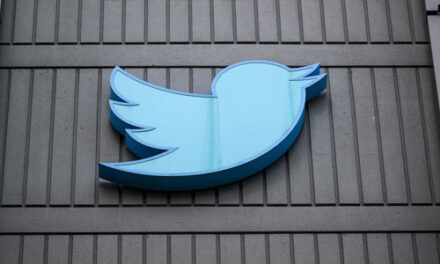 Elon Musk dice que el logotipo de Twitter cambiará, los pájaros se abandonarán gradualmente