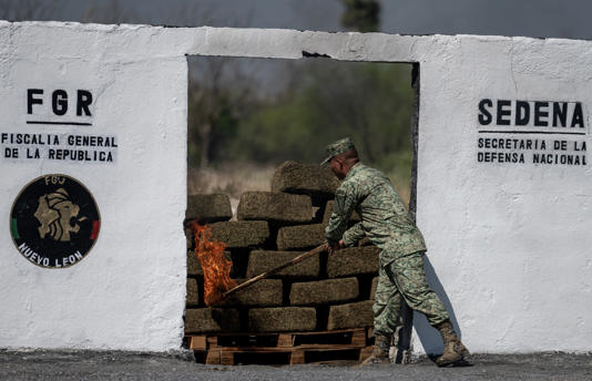 ¡Se hacen los que trabajan! El Ejército Mexicano incinera 461 kilos de narcóticos tras semana violenta