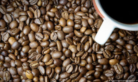Empresa lanza café sin grano en busca de producción sustentable