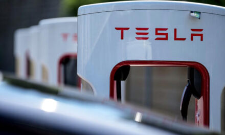 ¿Que Tesla no llega a México? La empresa pide ya infraestructura energética y vial para iniciar construcción de planta de autos