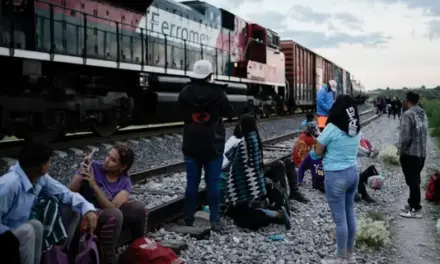 AMLO los engañaba con su “Vivan los migrantes”, hoy, México intensifica deportaciones de migrantes cubanos, guatemaltecos, salvadoreños y hondureños