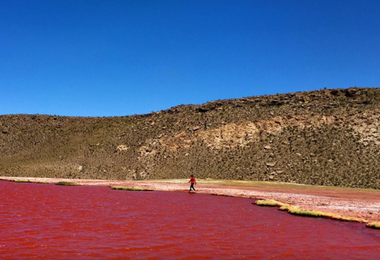 No, el río Nilo no se tiñó de rojo: video en TikTok causa arrebato en redes sociales